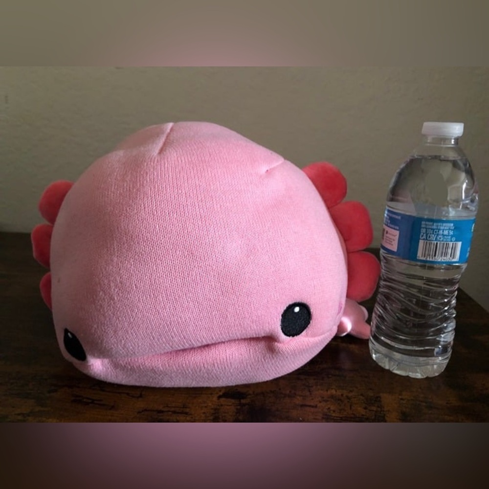 Toreba 60cm Amiami Big Salamandridae B (NWT)